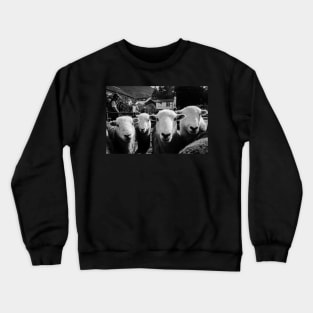 Baaaa !! Crewneck Sweatshirt